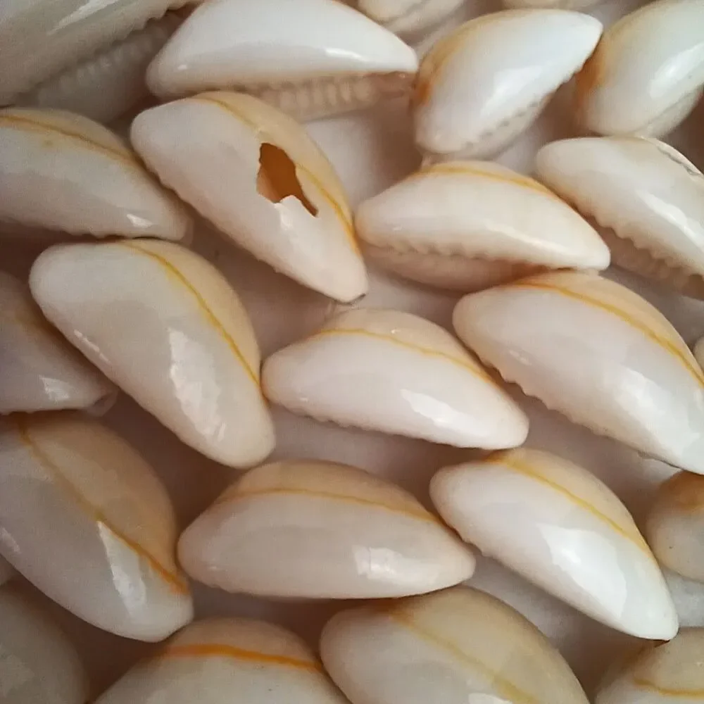 Hexagonal  COWRIE PUKA SEASHELL Placemat Trivet  Handmade Beach Decor 9 X 9